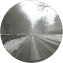 Michelle Norton profile picture